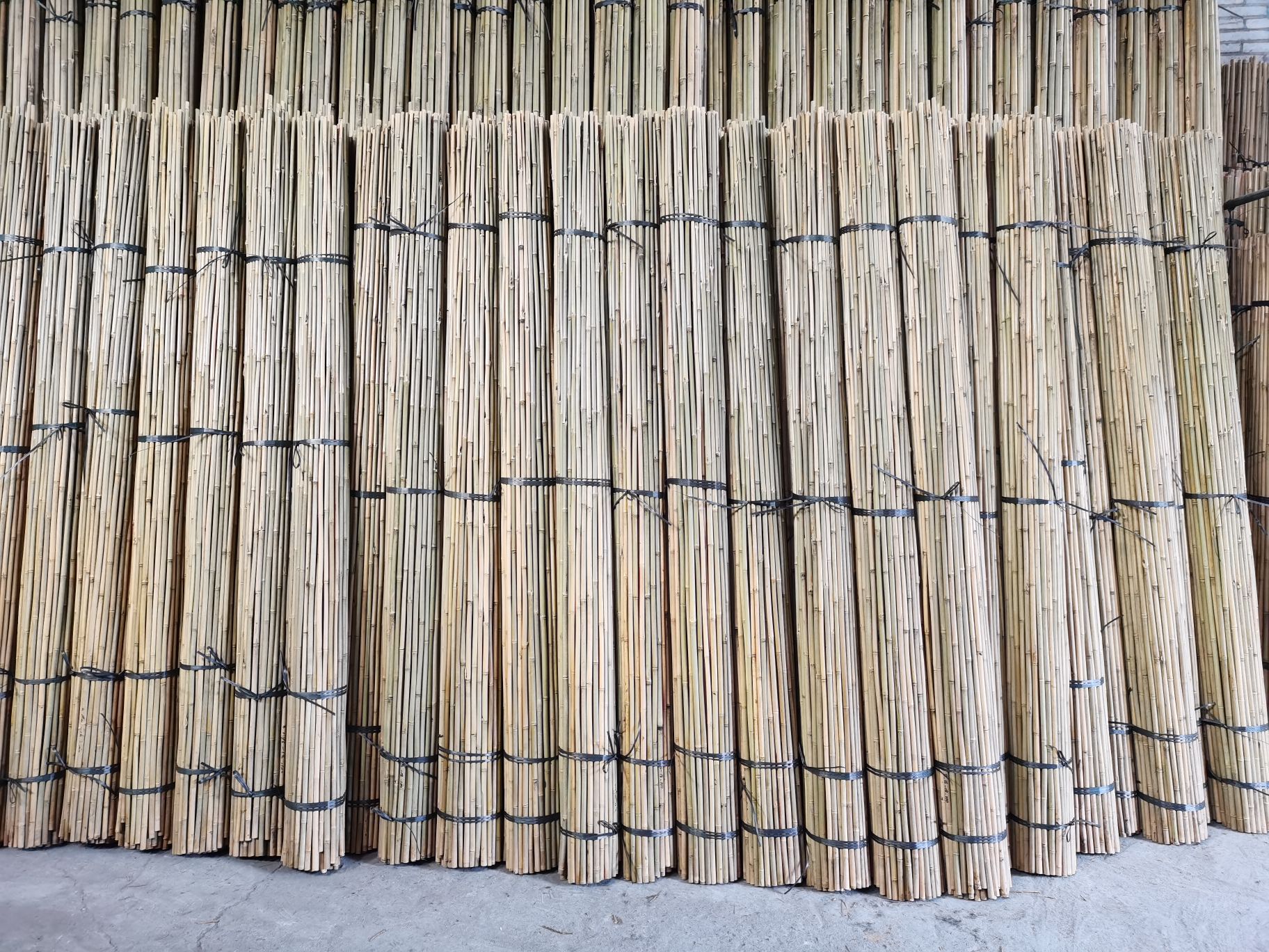 Tyczki bambusowe 200 cm.