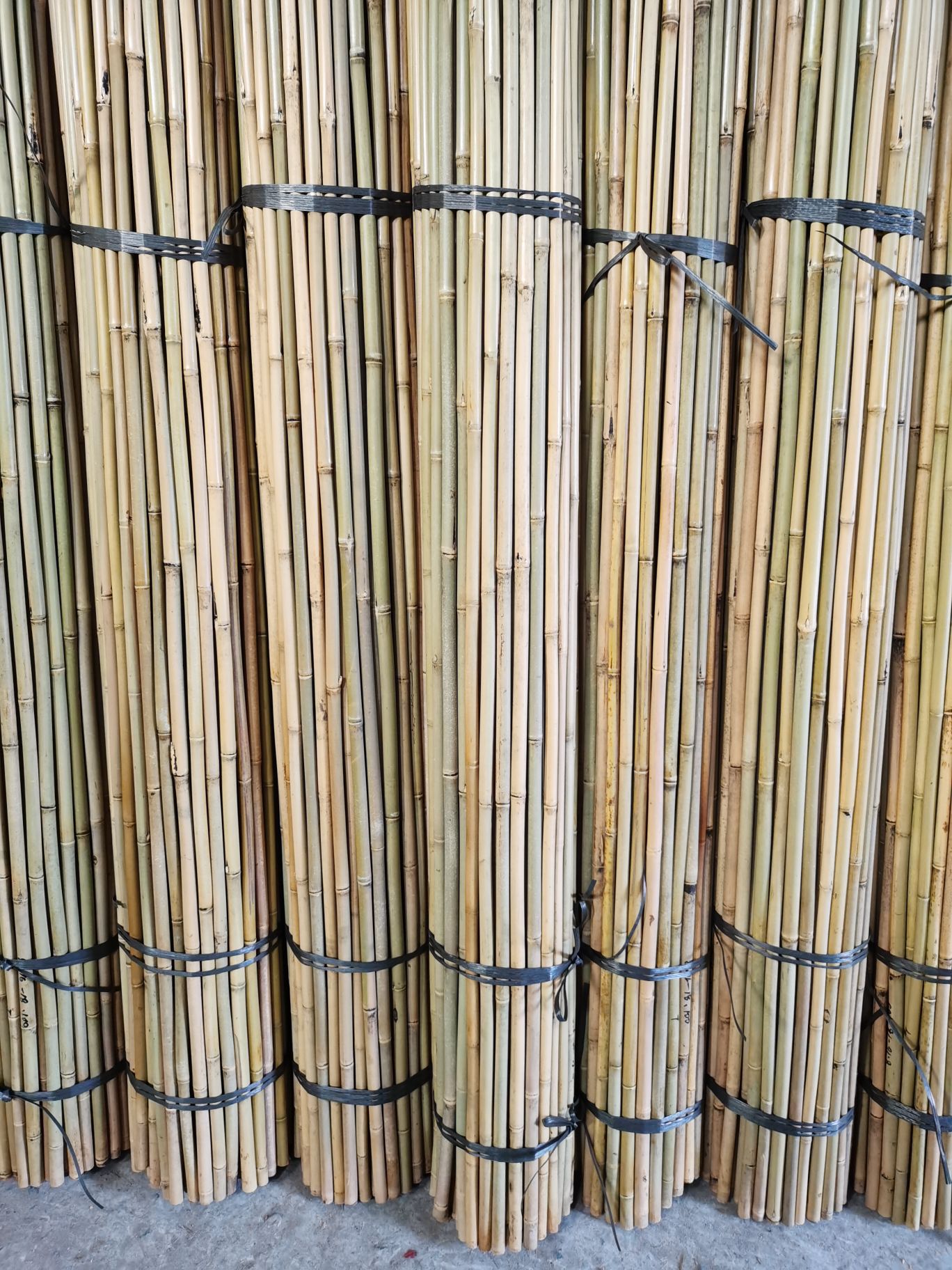 Tyczki bambusowe 300 cm.